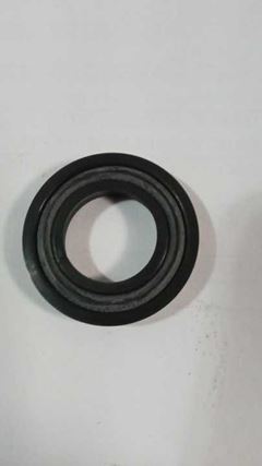GAXETA SCHIFFER 2500-0750